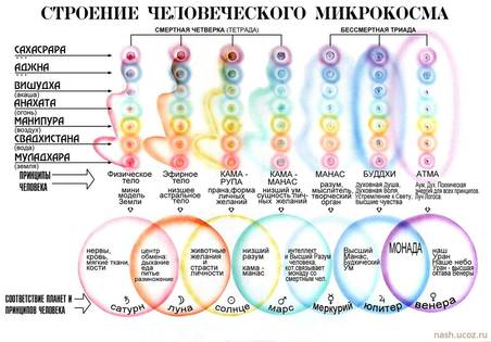 Энергетическое строение человека Каждый человек имеет семь энергетических центров, называемых чакрами.