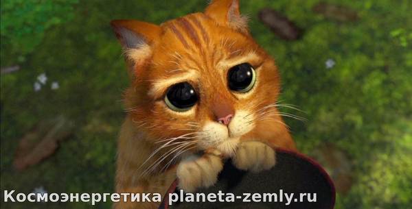 Получите Право Вечной Жизни