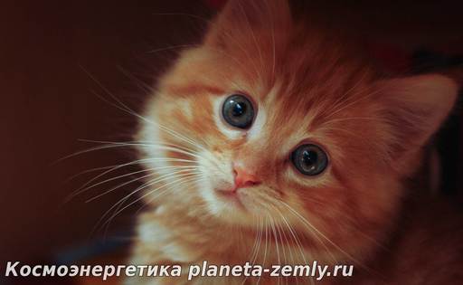 Технически медитация довольно проста и выполнение даже части этого упр