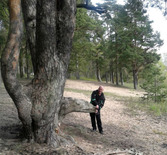 Чудеса там слышатся необычные звуки, напоминающие скрип двери, скрежет металл