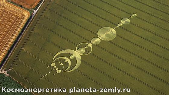 Сводки с полей Самое интересное из истории, антропологии и палеонтологии