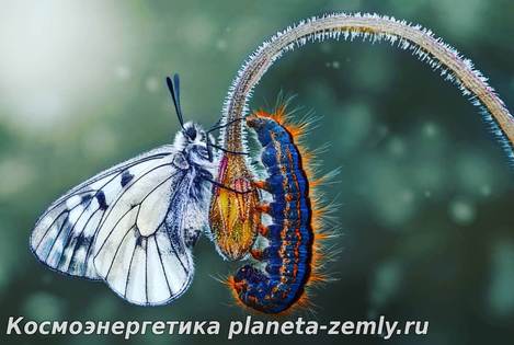 Упражнения для решения любых проблем Визуализируйте сложившуюся неблагоприятную ситуацию.