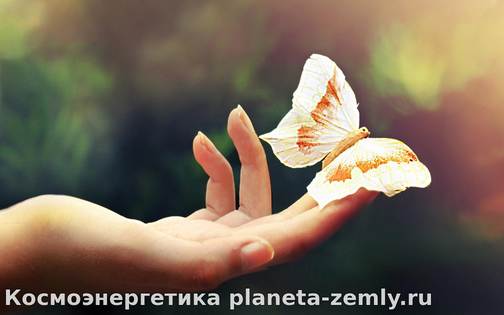 Чувства лишь иллюзия Вспомните как очень часто вы сами того не замечая резались или царапал