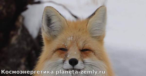 Подозрительность (рус. «подозреть» - стараться увидеть что-либо тайком