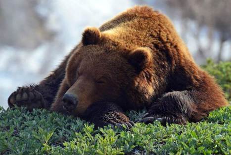 Ванга: пророчество о России Знаменитое пророчество о России