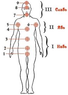 энергоинформационный кокон У Славян и Ариев она представляет собой сияющий 16-ти мерный энергоинф