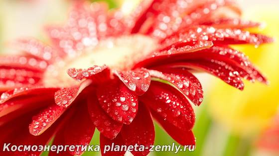 Родовое проклятие: как проявляется Родовым проклятием принято считать наказание, которое целенаправленно