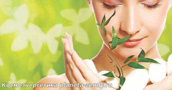 Точка Фэн-фу омоложение организма Воздействие на точка Фэн-фу: омоложение организма