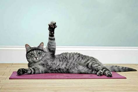 Как продлить свою жизнь Воздержание от еды в течение 16–18 часов в день может стать ключом к л