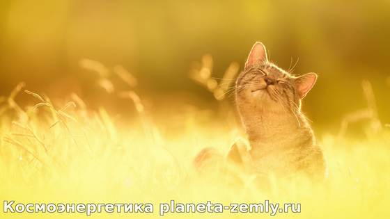 10 рецептов счастья 10 шагов на пути к счастливой жизни