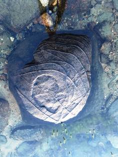 Ковдорчанин нашел уникальный камень с таинственными узорами Уникальный камень с таинственными узорами привлек внимание не только о