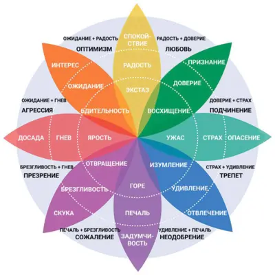 Чувства — это то, что мы чувствуем, Чем чувства отличаются от эмоций