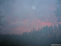 Любовь и привычка