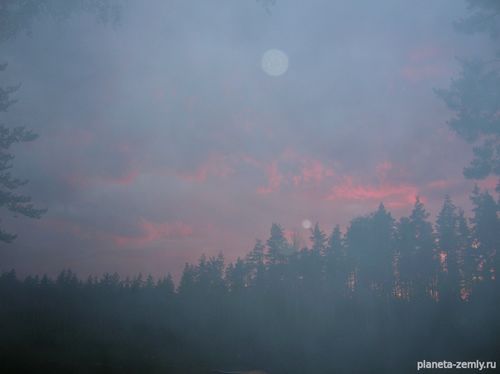 Любовь и привычка