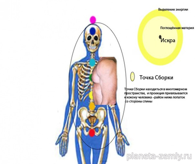 Точка Сборки — проекция на коконе