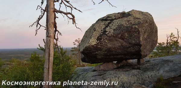 Смысл жизни всех существ- в накапливании в процессе жизни энергии осоз
